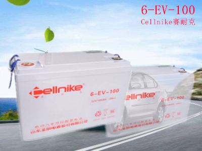6-EV-100